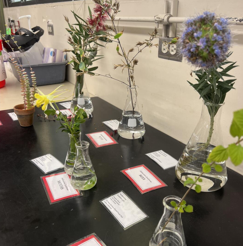 EEMB 2LL ecology lab teaching assistant session